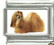 Dog charm - Shih Tzu 2